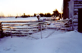 ice on gate