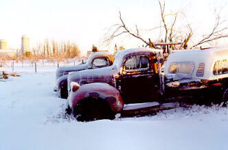 Old trucks Hemmingford