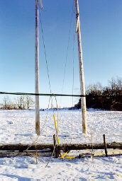 Snapped poles
