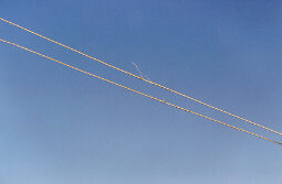 Frayed splice